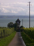 Haltnau