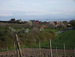 Blick auf Stetten