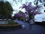 Der Stadtgarten